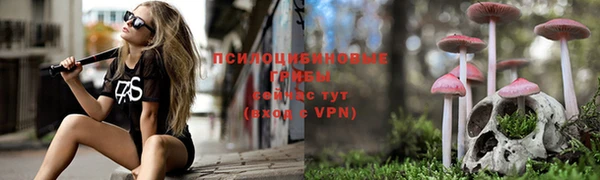 соль курить ск Алексин