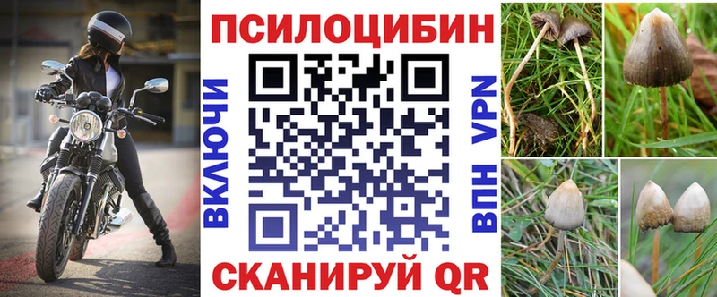 гидра ССЫЛКА  Канаш  shop наркотические препараты  Псилоцибиновые грибы мухоморы 